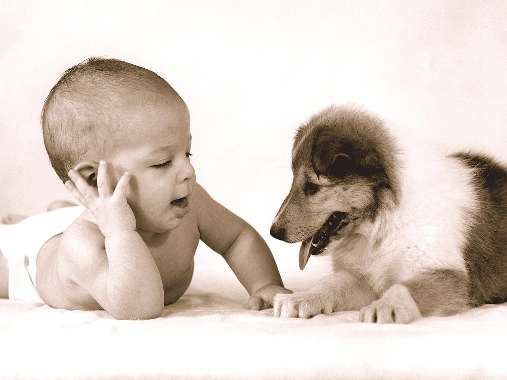 Can you keep a Secret_